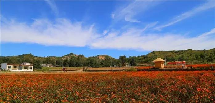 陕西100个示范村名单 (陕西省级示范村名单)