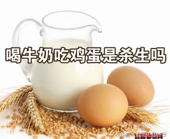 鸡蛋是荤还是素图片,鸡蛋是荤还是素菜