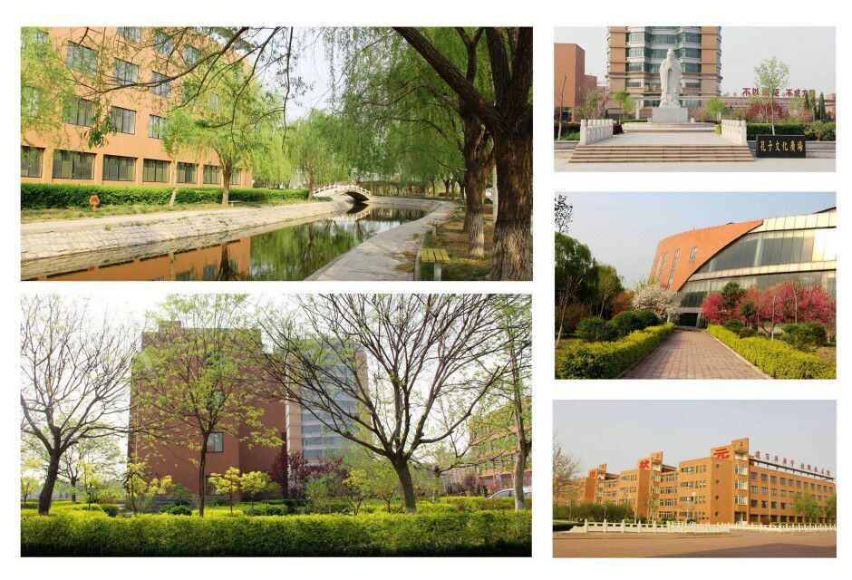 山东华宇工学院排名,山东华宇工学院的口碑