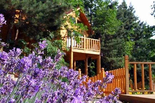 找童年！超有料の动漫主题度假酒店