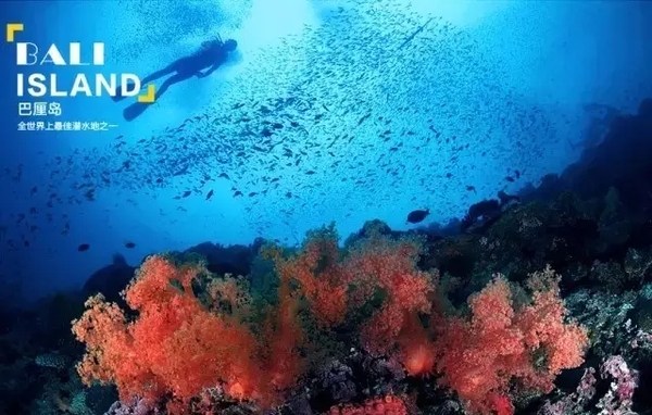 图兰奔潜水——探秘二战沉船体验