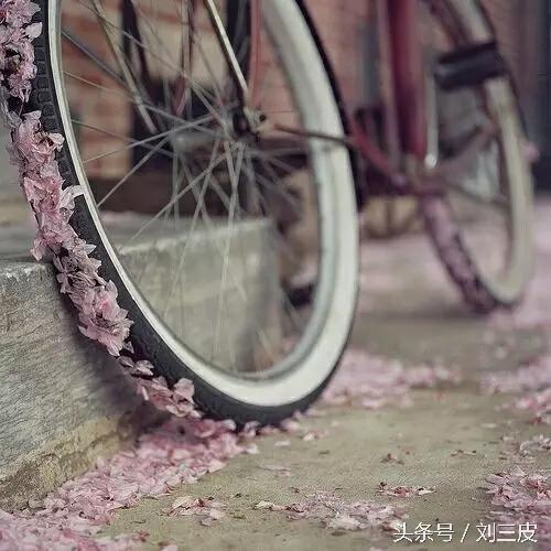 骑行就是我的生命,骑行的快乐如此简单