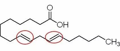 真相馆关于蛋糕油的一切真的和你想的一样吗?