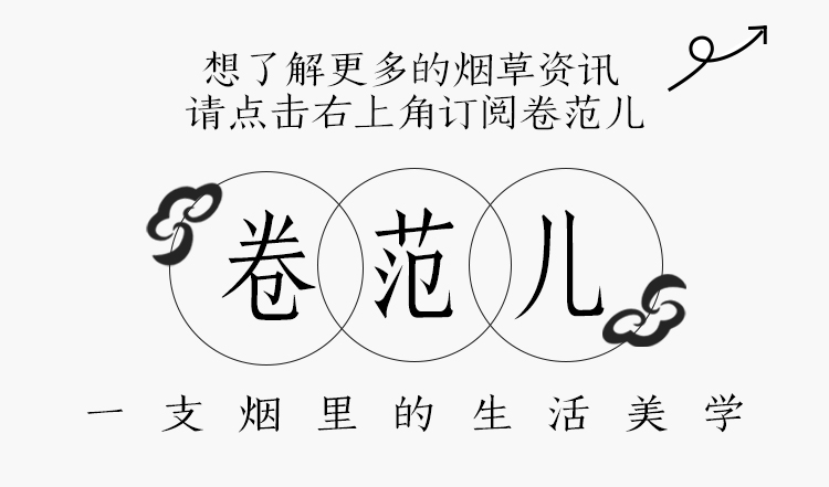 布拉德皮特没戏拍,布拉德皮特为啥不拍电影了