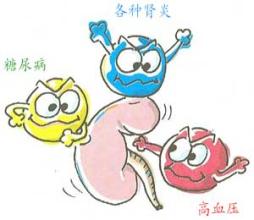 谨防肾脏疾病变成尿毒症，赶紧看这篇！