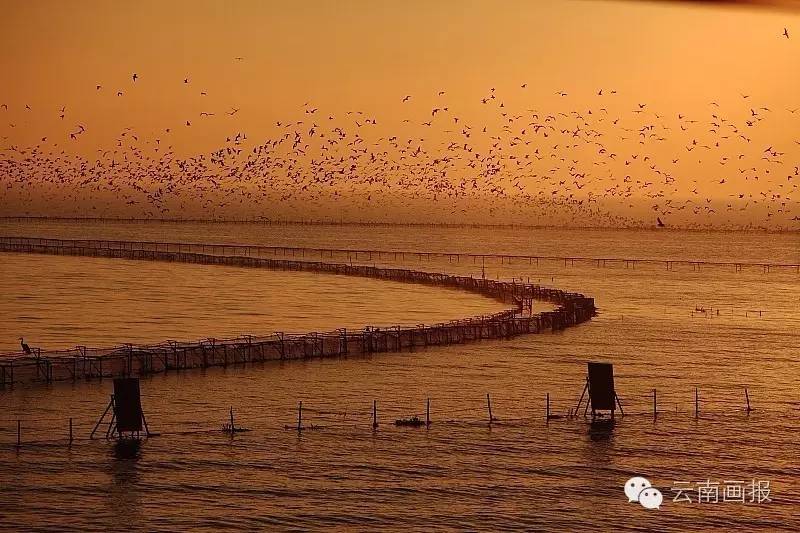 云南昆明的滇池值得一去的美景,来看看昆明的滇池