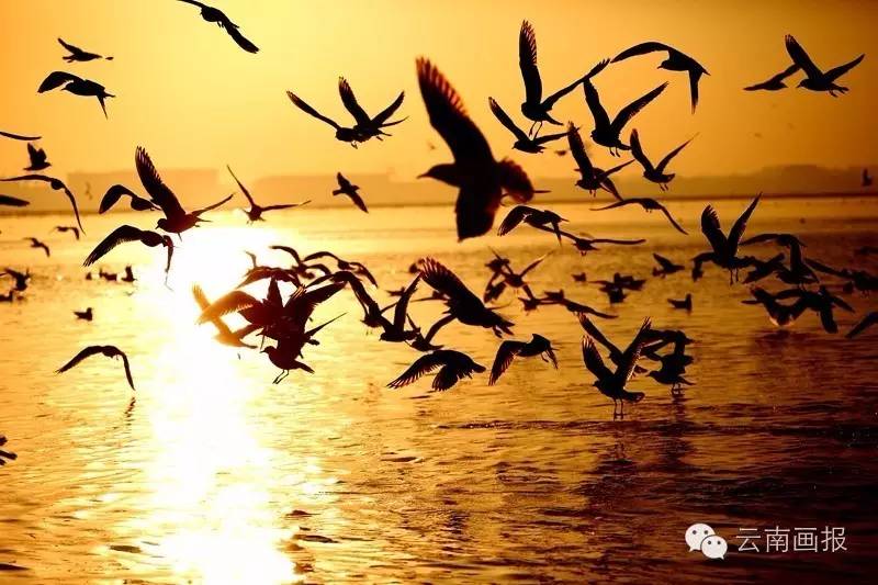 云南昆明的滇池值得一去的美景,来看看昆明的滇池