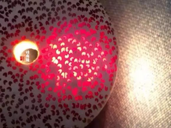 龙血金丝竹百科简介,龙血金丝竹简介