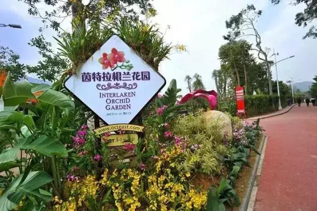 深圳东部华侨城60岁免费的景区,深圳东部华侨城两天一夜攻略