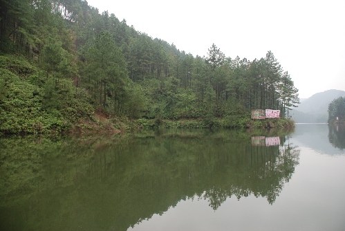 白云山林海风景,资中县白云山风景区