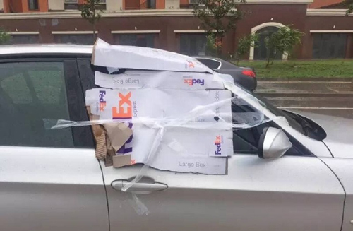 （城记|小灰枣）皮卡皮卡~皮卡丘~