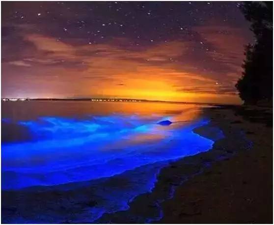 福鼎嵛山岛游玩朋友圈,渔山列岛打卡