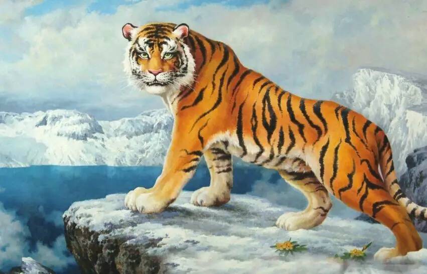 遇到危险动物应该如何自救,遇到危险动物要怎么避免