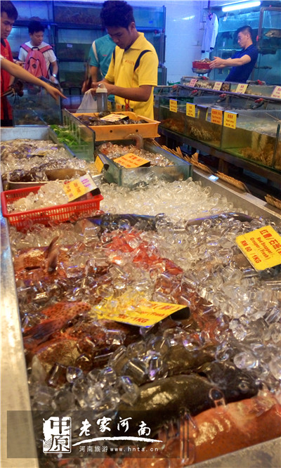 金秋沙巴游 (暑假去沙巴旅游攻略)