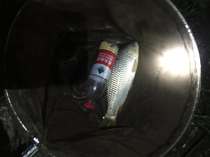 溪流鱼钩与海夕鱼钩型号一样,鱼钩型号大小对比表及鱼钩的介绍