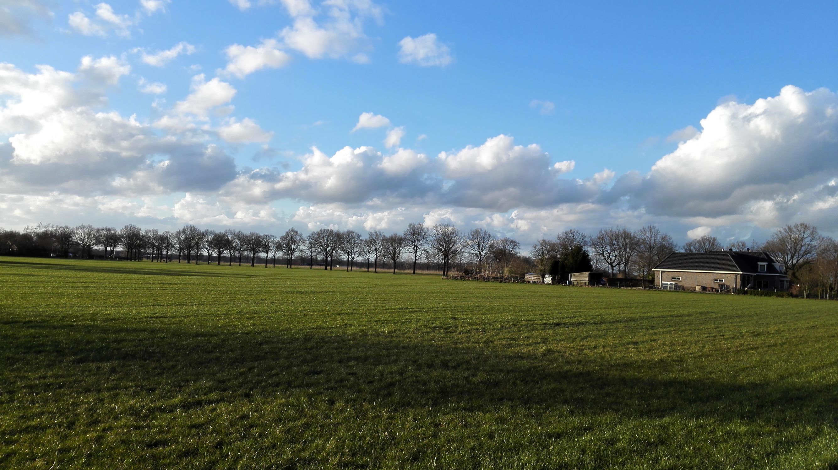 荷兰奶粉哪种是最好的,荷兰奶粉有什么秘密