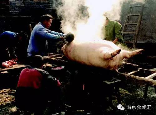 有钱没钱回家过年完整版,有钱没钱回家杀猪过年