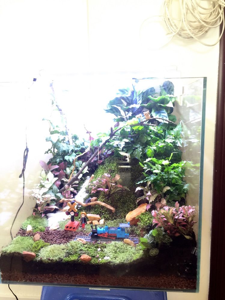 在青蓝树培养艺术“细菌”