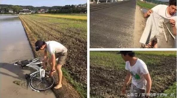 世界有名的“宅”日本,这几天都跑大街上,听说很多躺医院去了!