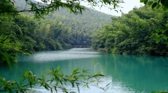 中国十三个最美的著名竹海,江苏旅游十大必去景区南山竹海