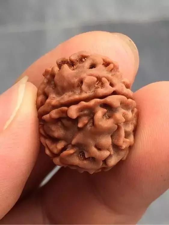 用可乐泡金刚菩提子,金刚菩提可乐怎么泡