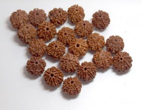 用可乐泡金刚菩提子,金刚菩提可乐怎么泡