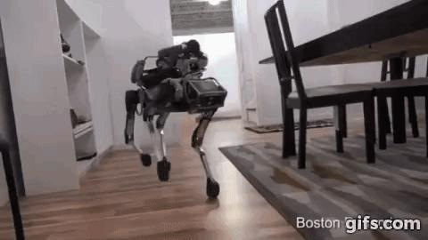 波士顿动力机器人视频是真的吗,波士顿动力最新一代机器人