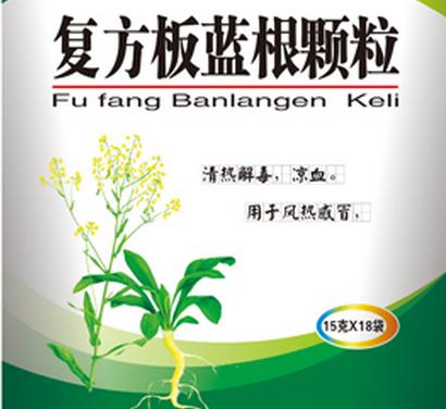 板蓝根的神奇,板蓝根真治感冒吗