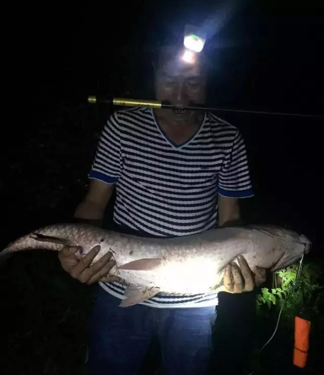 《渔获战报》大青鱼爆连引发的连环事件