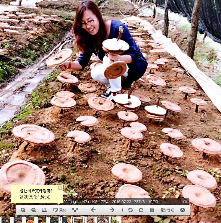 鐏佃姖绁炲浼犺,鐏佃姖鍗冨勾鐝嶅搧