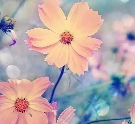 发现老公玩暧昧你会怎么办,和你玩暧昧的后果