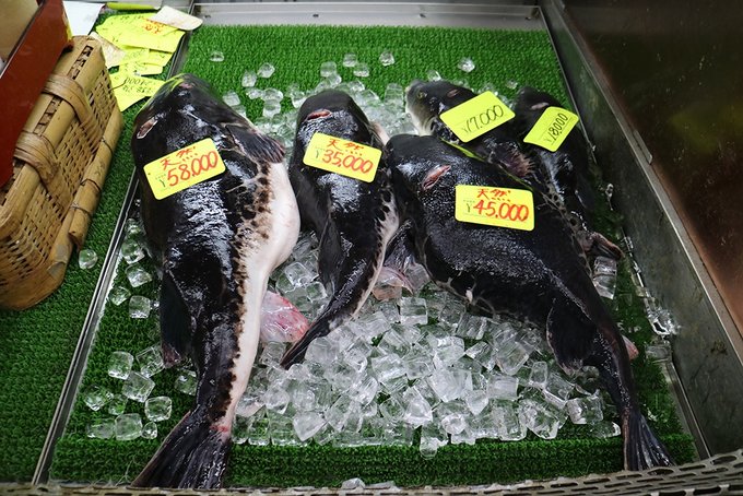 日本跟团购物费用,日本游跟团购物陷阱