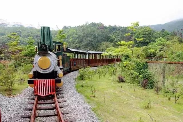 深圳东部华侨城60岁免费的景区,深圳东部华侨城两天一夜攻略