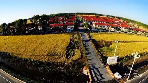 五载流金岁月 铸就风华大洼