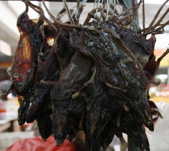 在广州老鼠肉会是一种佳肴，别恶心这只是一种文化！