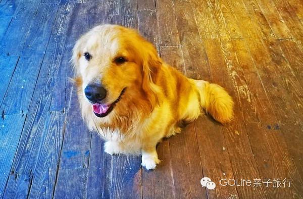 杭州亲子美食推荐,杭州景区民宿推荐亲子餐