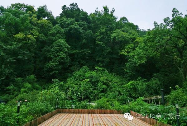 杭州亲子美食推荐,杭州景区民宿推荐亲子餐