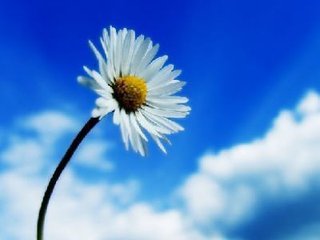 脑出血患者如何预防并发症,护理脑出血病人的方法和技巧