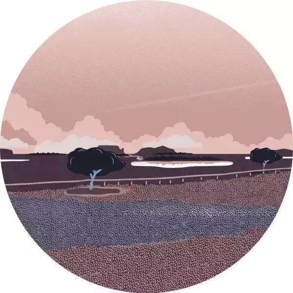 波尔图插画师作品,荷兰艺术家rajacenna一幅画多少钱