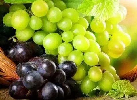 气血足面色白皙红润,气血不足吃什么食物能补足