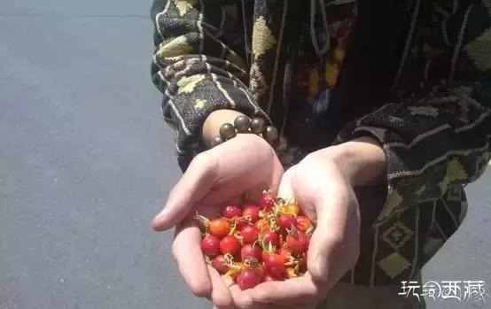 我的旅游日记藏西秘境攻略,西藏旅游攻略