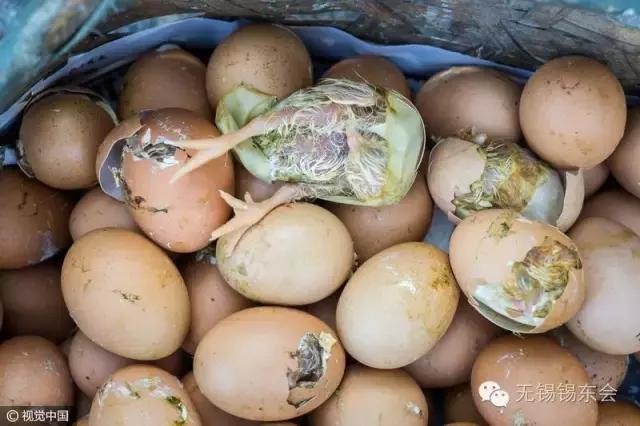 商贩路边孵小鸡,8000左右“防暑”游戏本推荐