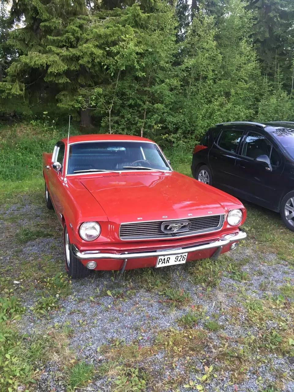 浠庝簹娲查獞鎽╂墭杞﹀埌娆ф床,楠戞懇鎵樹竴鍛ㄤ粠涓浗鍒版剰澶у埄