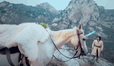 幻城到底讲的是什么,幻城讲的是什么故事