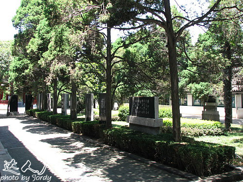 梦回东汉末年,梦回西元2