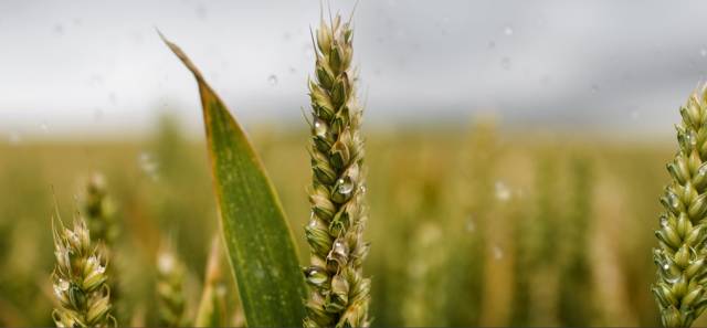 无人机创意拍摄,最新无人机创新消息大全