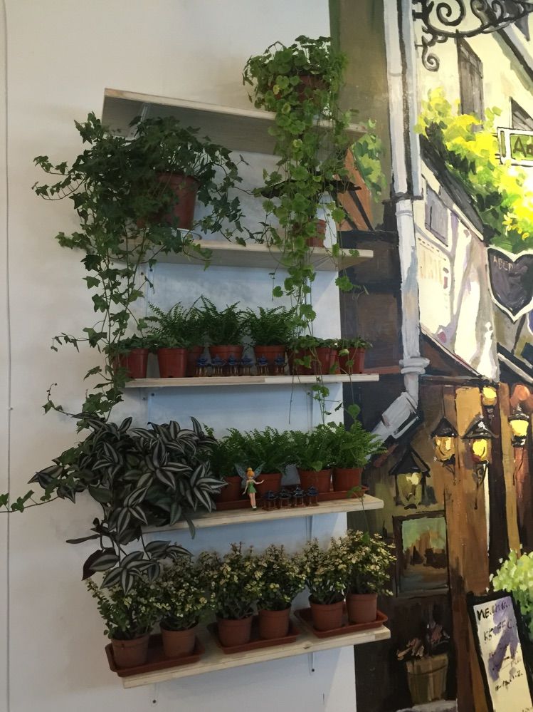 在青蓝树培养艺术“细菌”