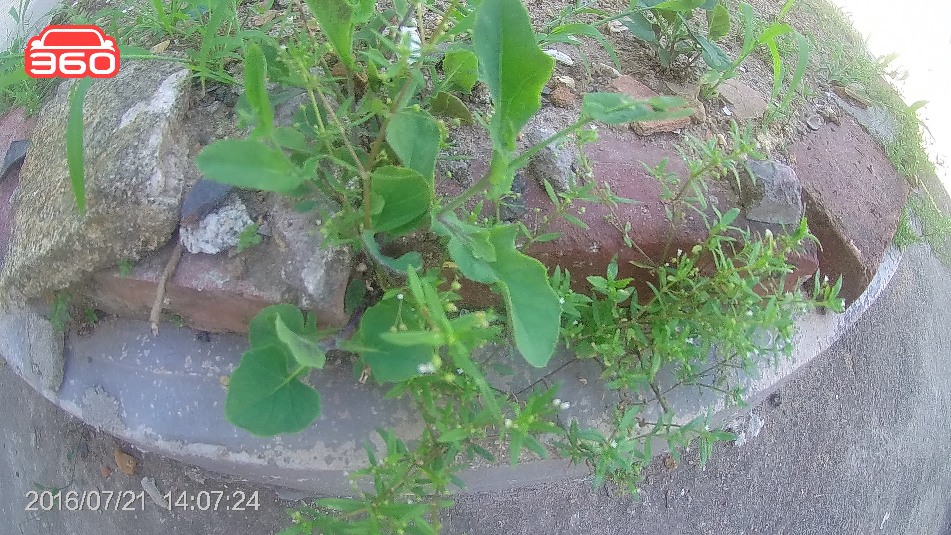 360行车记录仪有卡和无卡,360行车记录仪二代和一代的区别