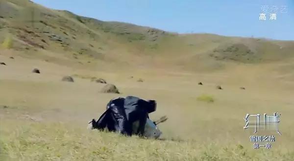 除了美瞳和发套,《幻城》就剩下幻觉了