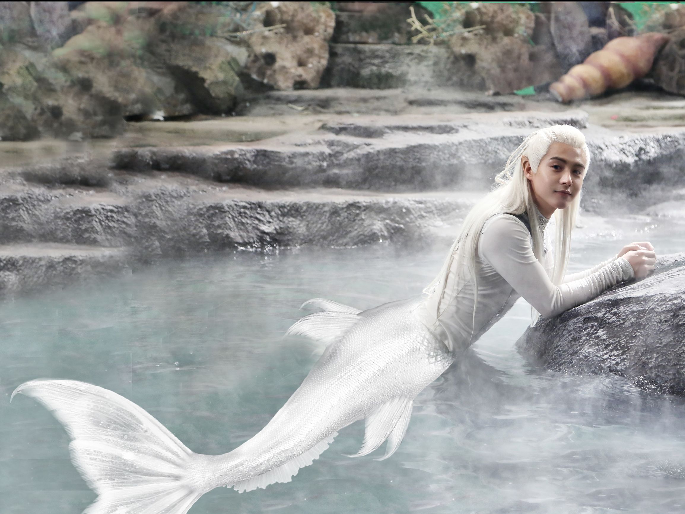 最是千变“美娇娘”,弱水三千,不及你蓝颜一瓢饮